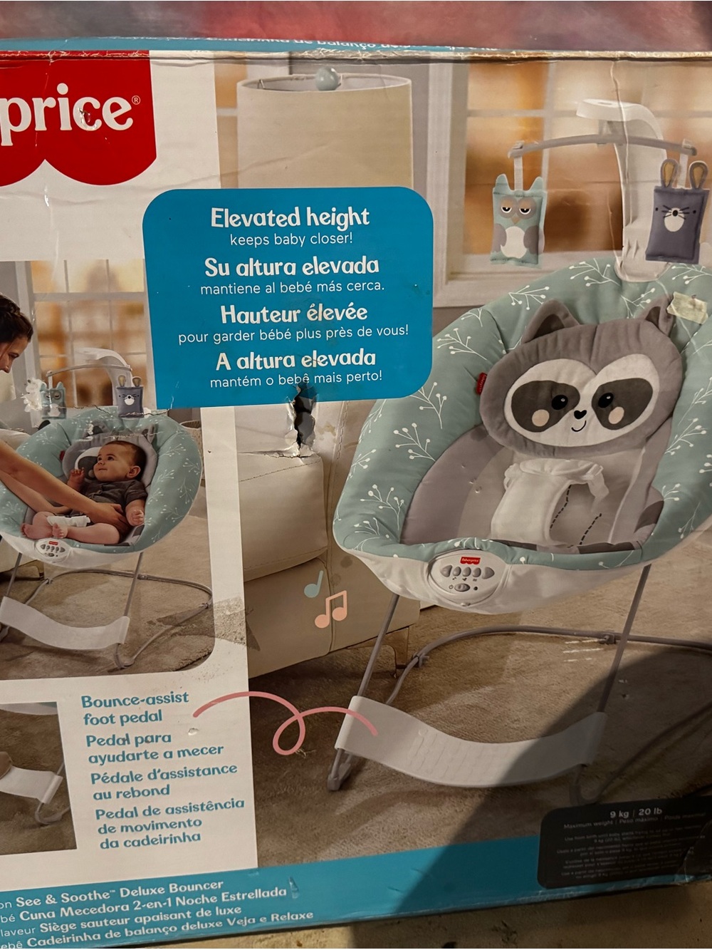 Fisher-Price Mint and Gray Sloth Baby Bouncer with Mobileat arms reach baby noun